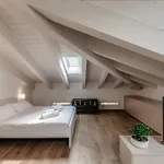 Amazing Attic With Terrace On Harbour